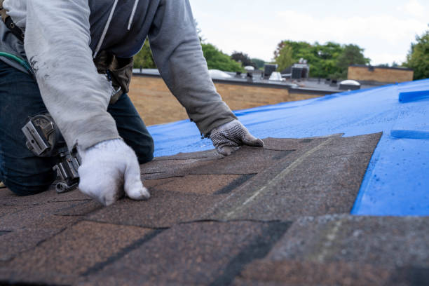 Gutter Installation and Roofing in North Lakeport, CA